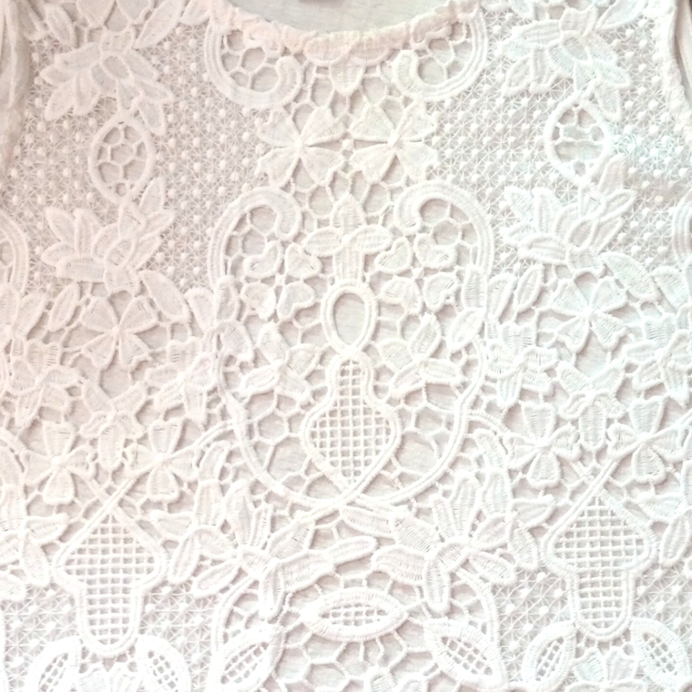 James Coviello Anthropologie Lace Eyelet  Front Top - Picture 3 of 5